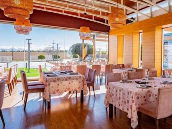 Los mejores restaurantes de Málaga para ir con niños: comer bien en familia